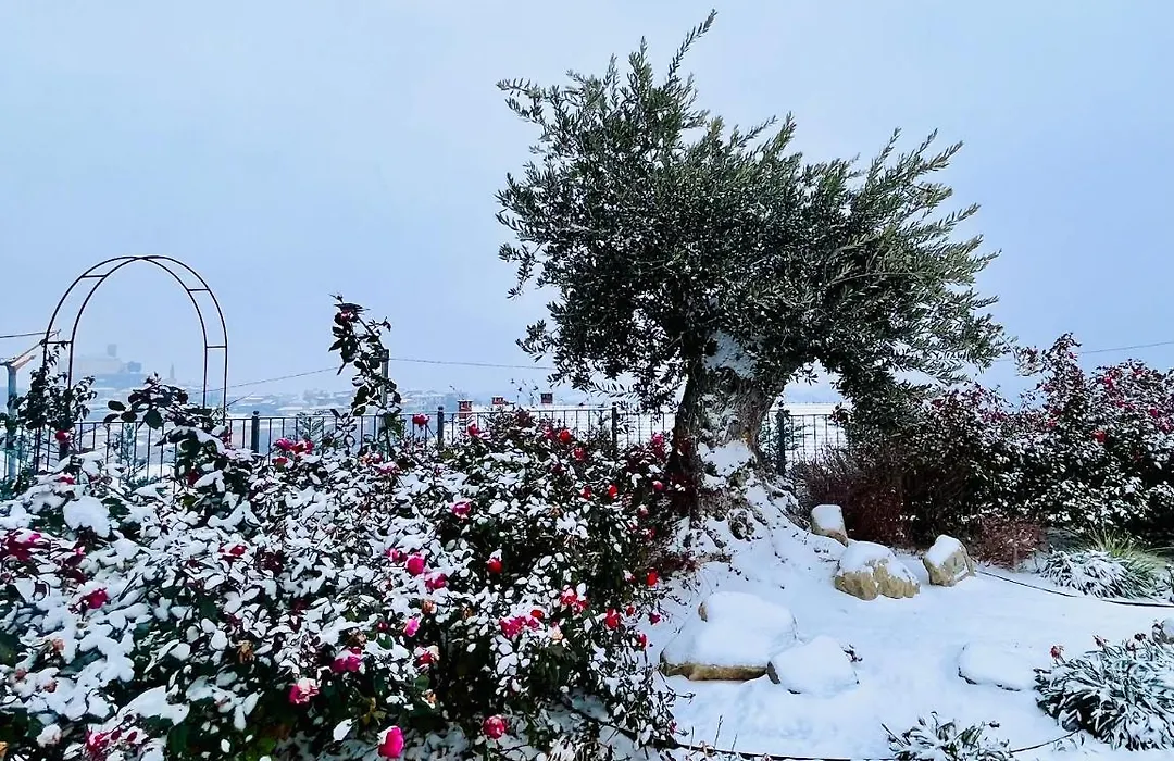 Villa Nonna Cicci Boutique Hotel - Spa-1
